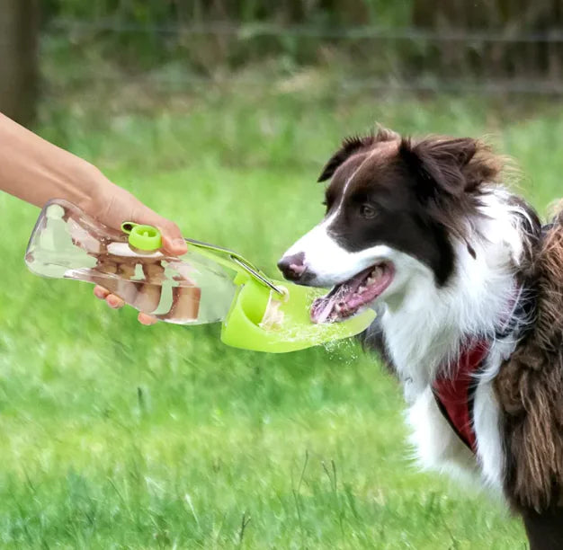 Pet Flip Cup Portable Water Bottle – 580ml, Silicone & ABS