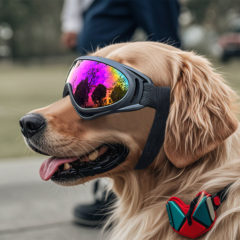 Dog Windproof Plastic Pet Goggles
