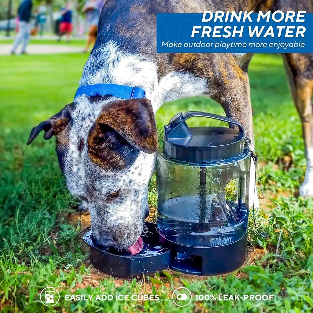 Dog Travel Water Bottle Portable Leak Proof Bowl Dispenser Large Dogs Hiking