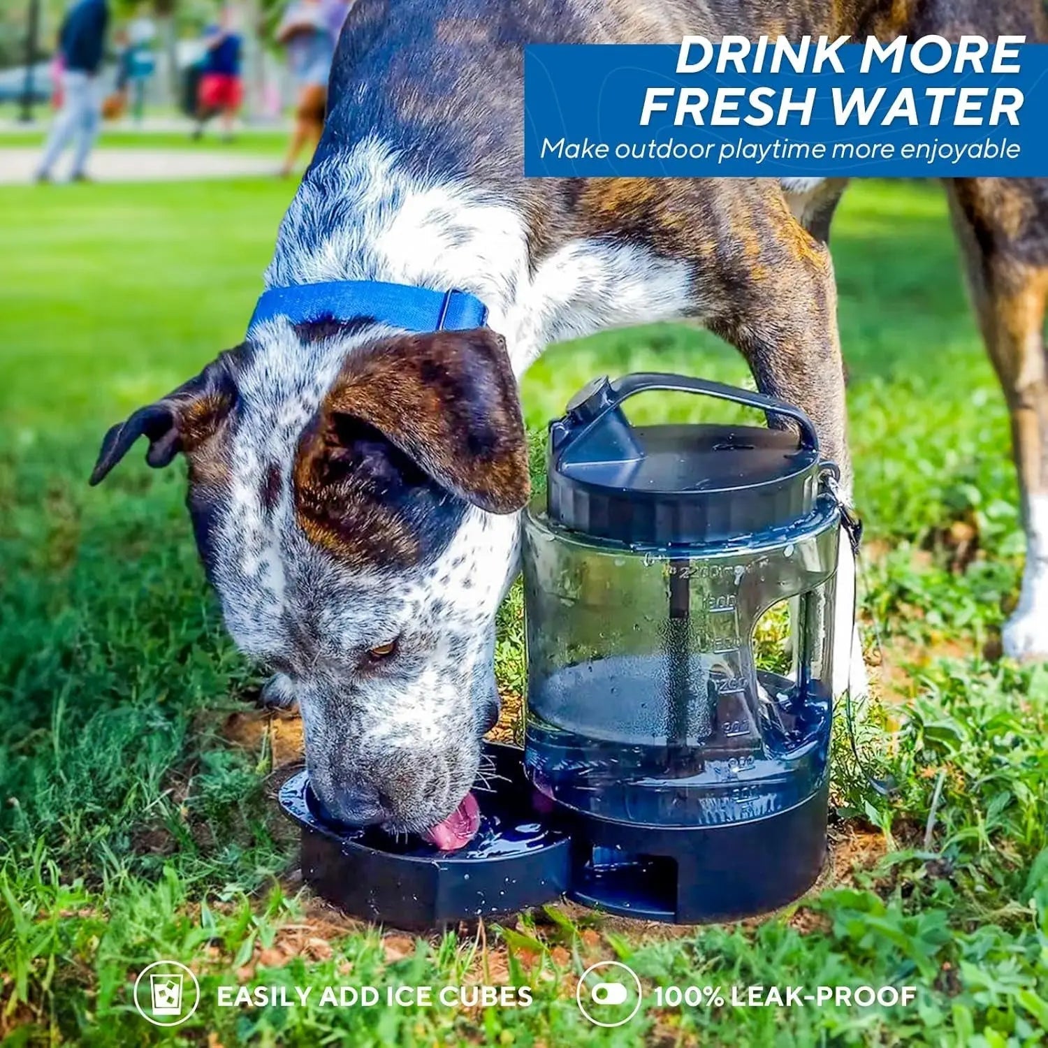 Dog Travel Water Bottle Portable Leak Proof Bowl Dispenser Large Dogs Hiking