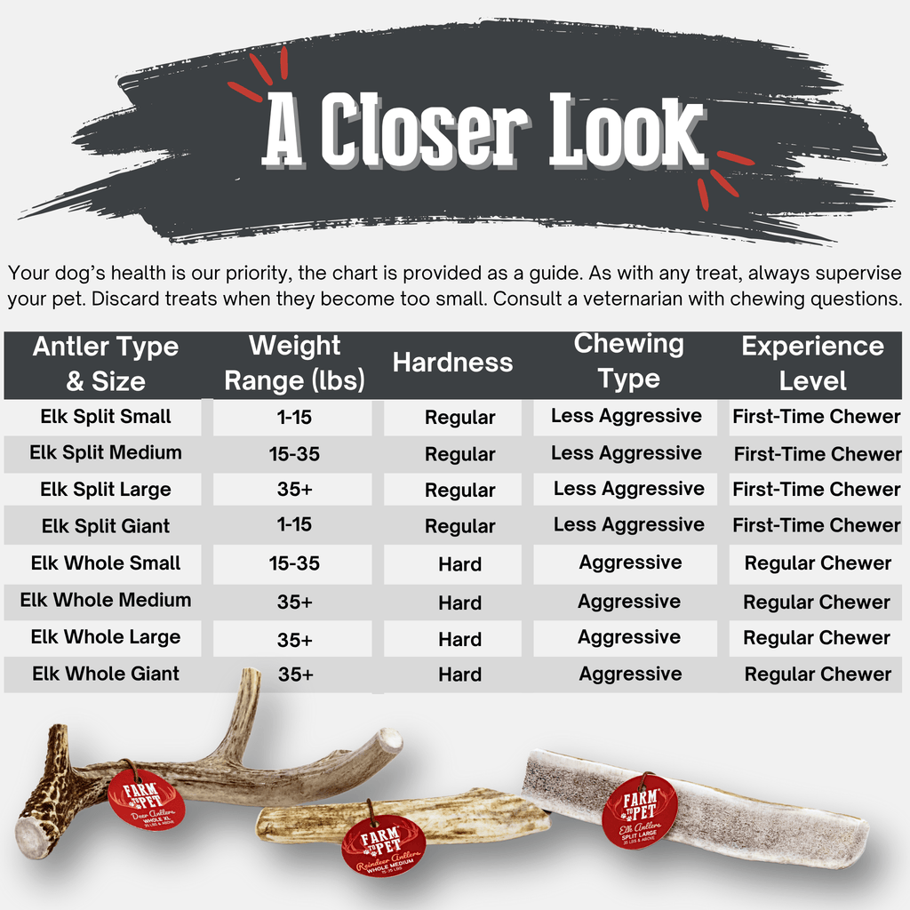 Elk Antler Dog Chews