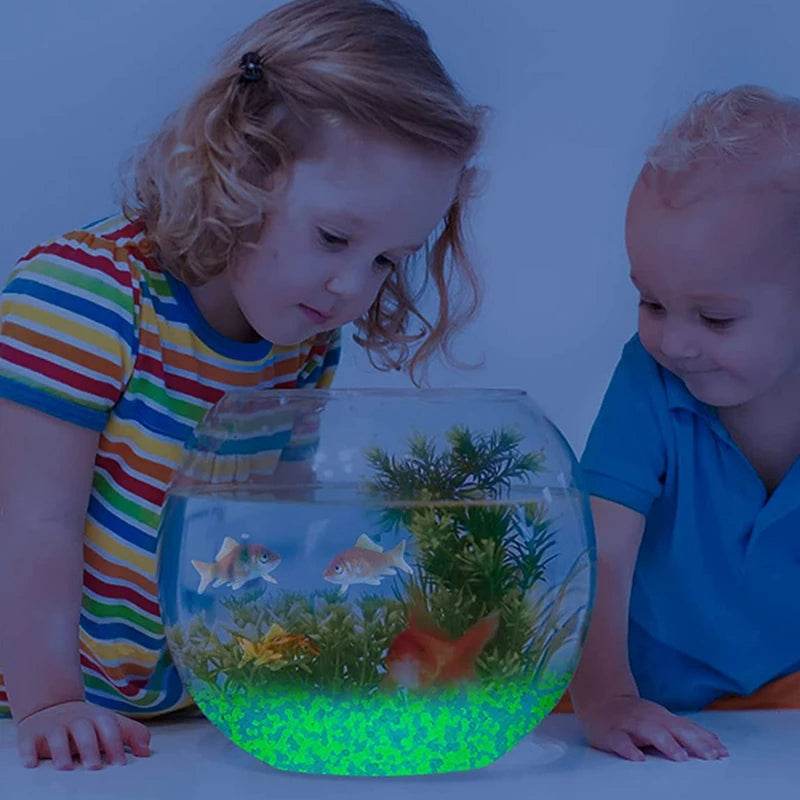 Glow in the Dark Pebbles – Luminous Stones