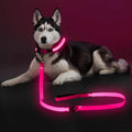 Light Up LED Dog Leash 6FT – USB Rechargeable