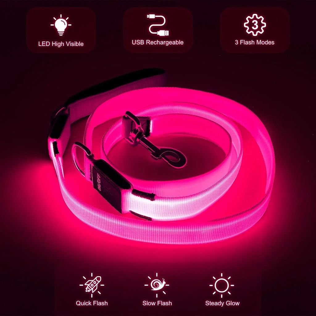 Light Up LED Dog Leash 6FT – USB Rechargeable
