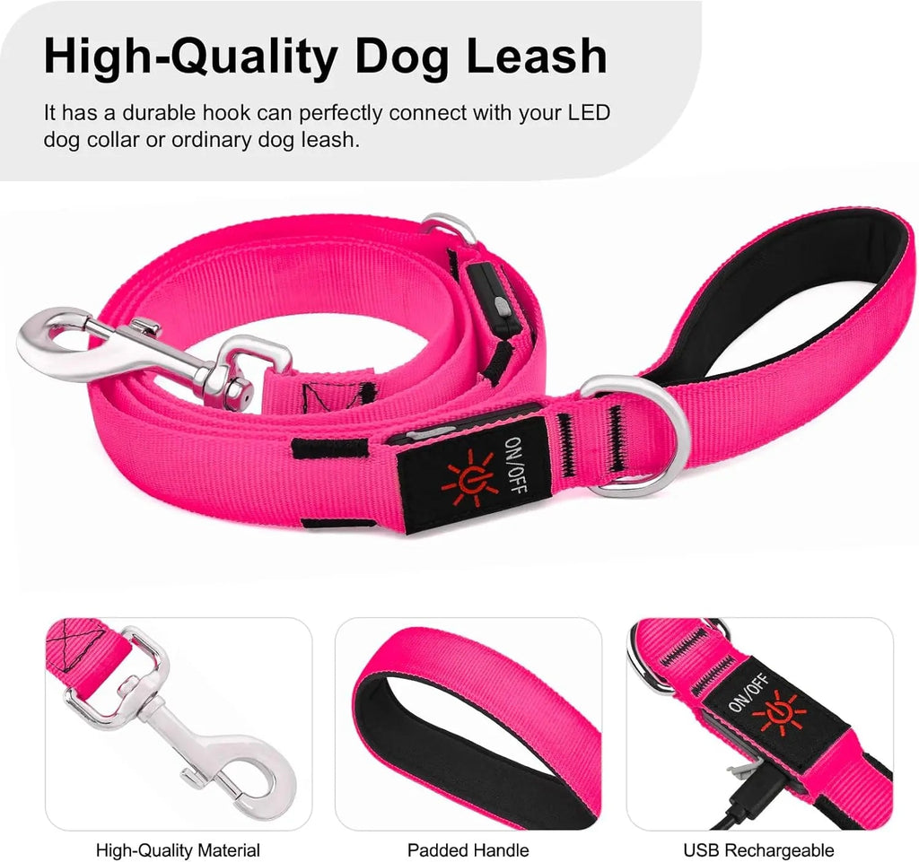 Light Up LED Dog Leash 6FT – USB Rechargeable