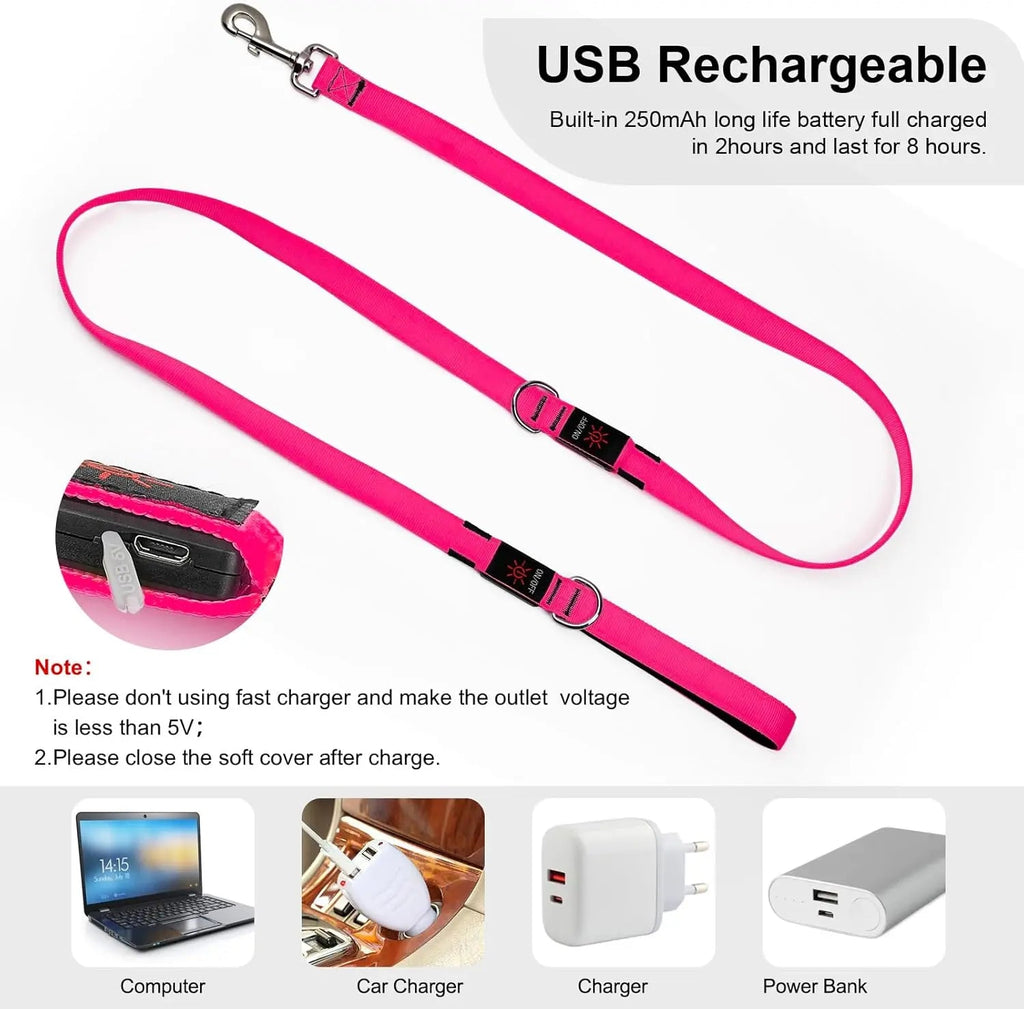 Light Up LED Dog Leash 6FT – USB Rechargeable