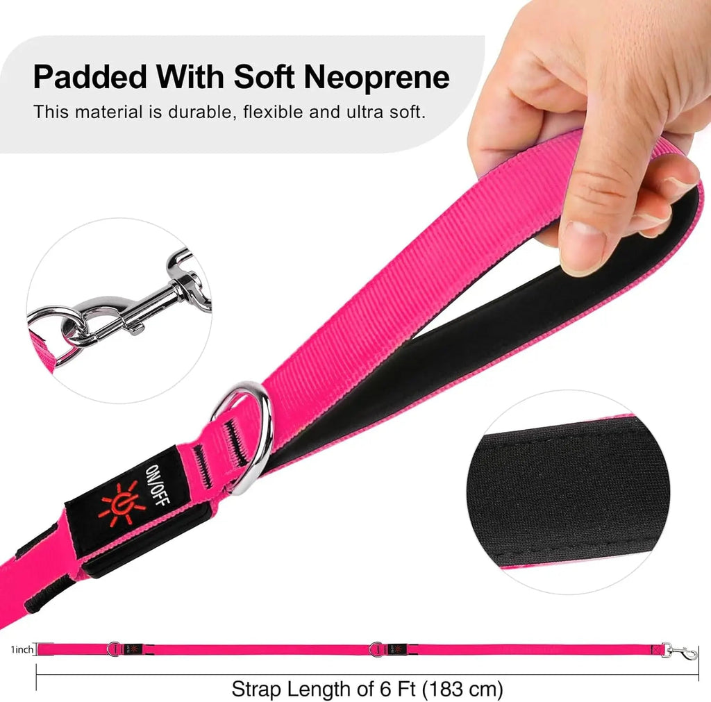 Light Up LED Dog Leash 6FT – USB Rechargeable