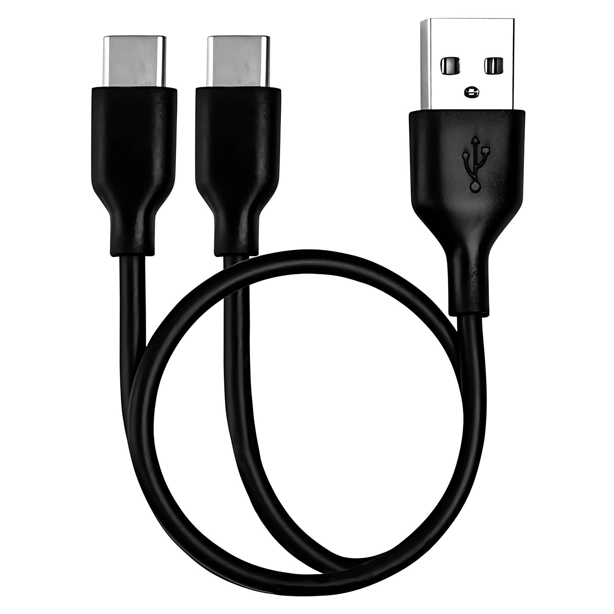 Gobi Heat USB-C Dual Charging Cable