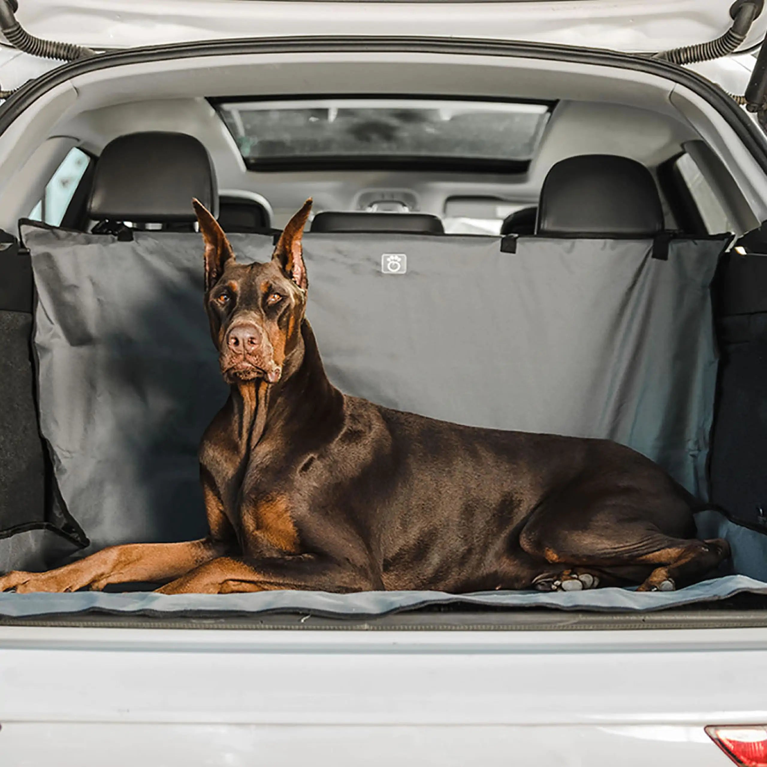 Waterproof Pet Cargo Cover | Car Trunk Protector for Camping with Pets