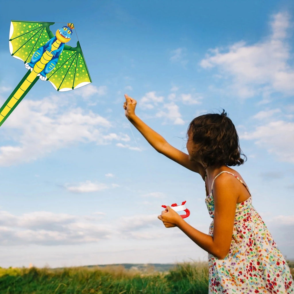 Kite for Kids and Adults Easy to Fly