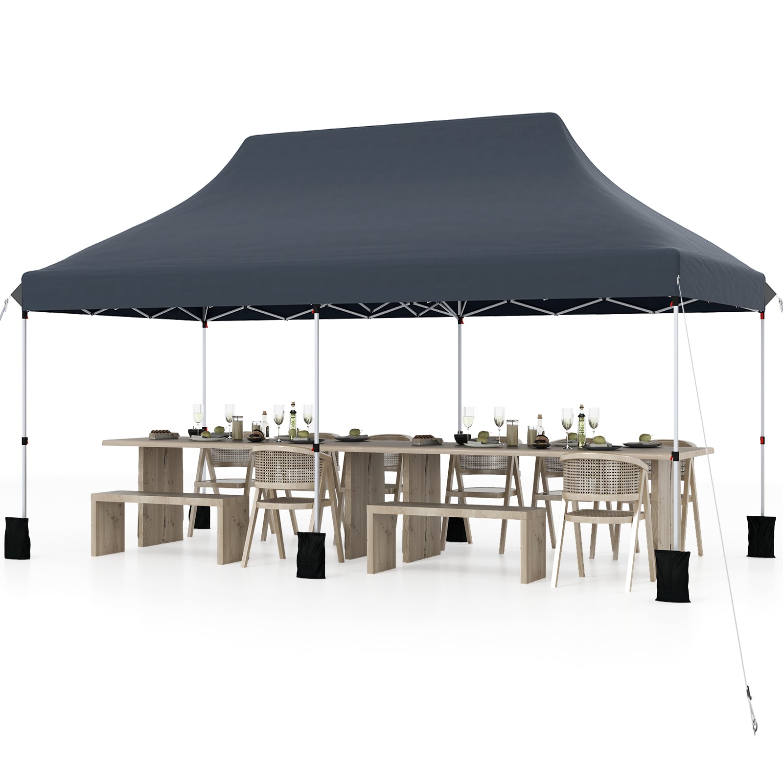 10 x 20 FT Pop up Canopy with Carry Bag-Black